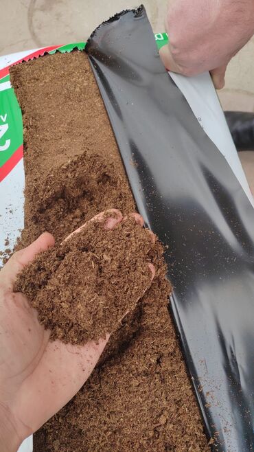 Torf: Torf 250 litrlik ekolayf perlitli 250 litrlik torf perlitli organik — 3