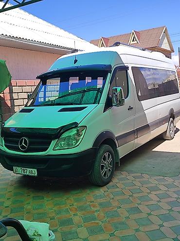 vip bus: Mercedes-Benz Спринтер: 2012 г. — 5