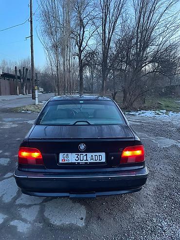 BMW: BMW 5 series: 1998 г., 2.5 л, Механика, Бензин, Седан — 6