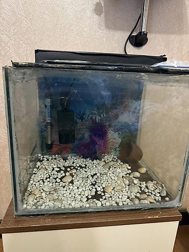 100 l akvarium: Dördbucaq akvarium, Boş, 42 l — 1