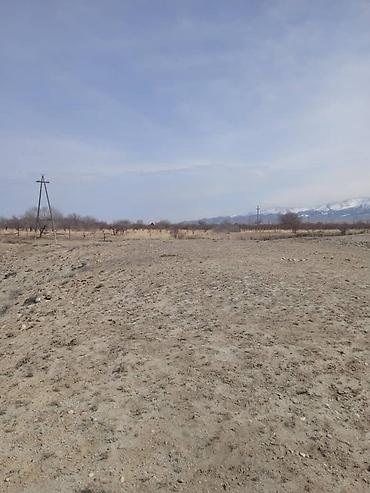 Продажа участков: 787 соток, Для сельского хозяйства, Красная книга, Договор купли-продажи — 9