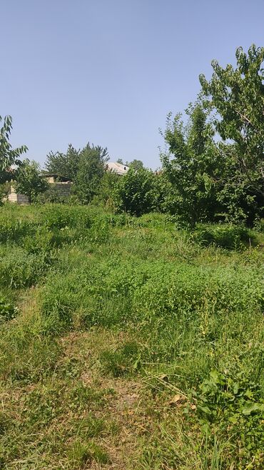 mehdiabad həyət evi: Quba, 65 kv. m, 2 otaqlı, Hovuzsuz, Telefon, Artezian quyusu, Su