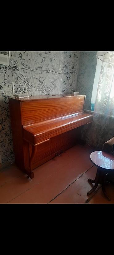 boya by m1: Piano, Zimmermann, Akustik, İşlənmiş, Ödənişli çatdırılma — 1
