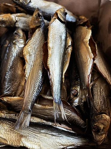 кыргыз сиги: 🐟 Приглашаем магазины и торговые точки к сотрудничеству! Предлагаем — 1