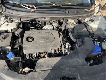 Hyundai: Hyundai Sonata: 2016 г., 1.7 л, Автомат, Дизель, Седан — 12