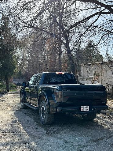 подрулевой: Ford F-150: 2018 г., 2.7 л, Автомат, Бензин, Пикап — 7