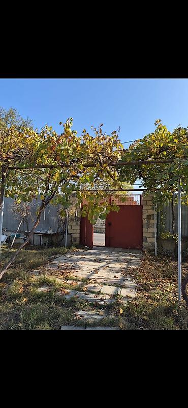 Torpaq sahələrinin satışı: 8 sot, Mülkiyyətçi, Kupça (Çıxarış), Texniki pasport — 22