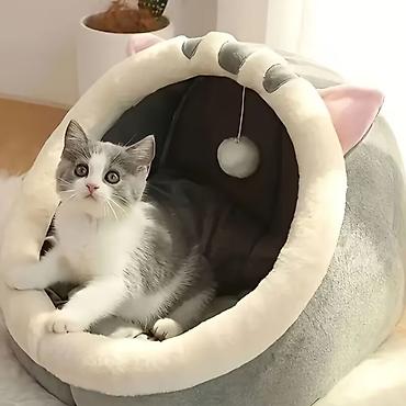 Животные: Новый Мягкий Домик-лежанка для кошек с игрушкой 🐈 - Уютная закрытая — 1