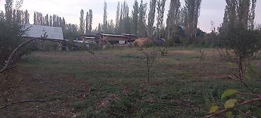Продажа участков: 30 соток at lalafo.kg — 16 Продажа участков: 30 соток — 16