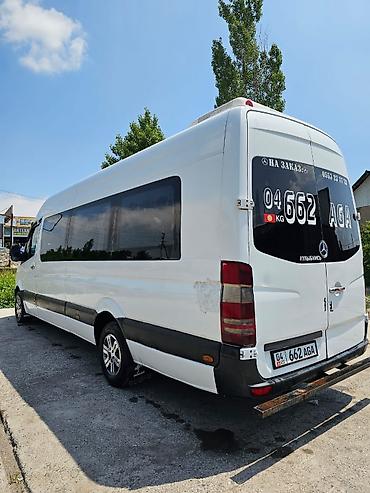 Mercedes-Benz: Mercedes-Benz Спринтер: 2007 г., Бус — 6