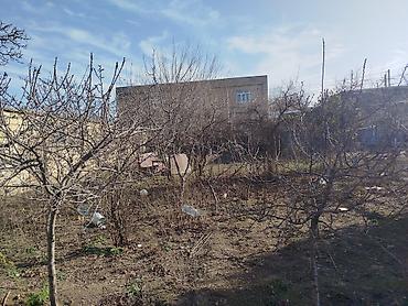 goradil: 4 sot, Tikinti, Maklerlər narahat etməsin, Kupça (Çıxarış) — 8