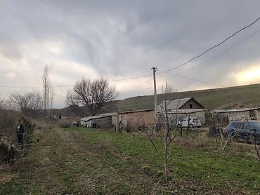 Продажа коттеджей и домов: Продаётся дом с участком общая площадь 20 соток все документы в — 8