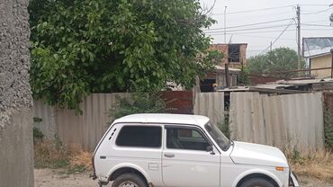 сапог грузовой двух скат: Белый внедорожник ВАЗ-2121 "Нива" с трехдверным кузовом. Автомобиль