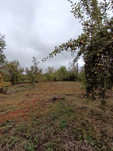 Bağ evlərinin satışı: Alekseevka, 30 kv. m, 15 otaq, Su — 11