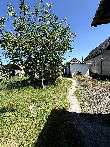 варианты: 📌В селе Беловодское продаётся дом на участке 11,5 соток (по факту 13) — 7