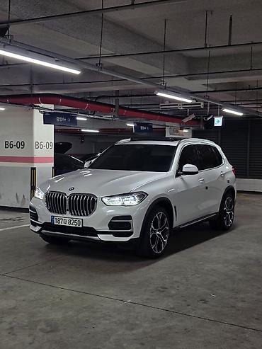 BMW: BMW X5: 2019 г., 3 л, Автомат, Бензин, Кроссовер — 4