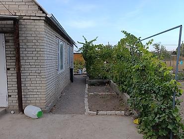 Продажа домов: 2 комнаты, 30 м², 5 соток, Электричество, Септик — 3