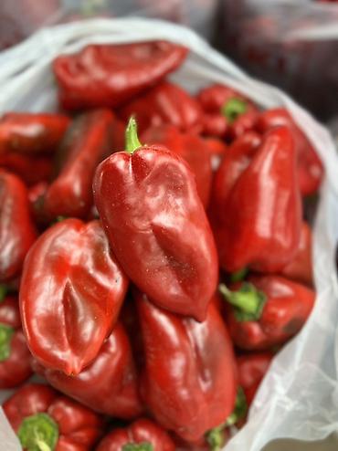 местный кукуруза: Перец Сладкий, Оптом — 6