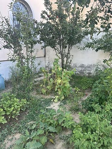 Həyət evləri və villaların satışı: 7 otaqlı, 185 kv. m — 5