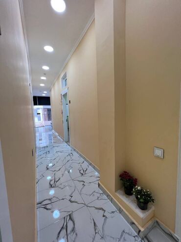 Digər kommersiya daşınmaz əmlakı: Qara Çuxur qəsəbəsi) tam təmirli əşyaları ilə birlikdə hazır biznes — 23