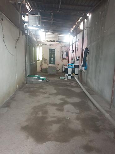 Həyət evləri və villaların satışı: 3 otaqlı, 500 kv. m — 2