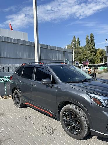 outback 2019: Subaru Forester: 2020 г., 2.5 л, Вариатор, Бензин, Кроссовер — 2