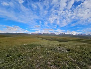 Продажа времянок: Сары джаз өрөнүндө эчкили-таш аймагында сарай, кашар сатылат — 11