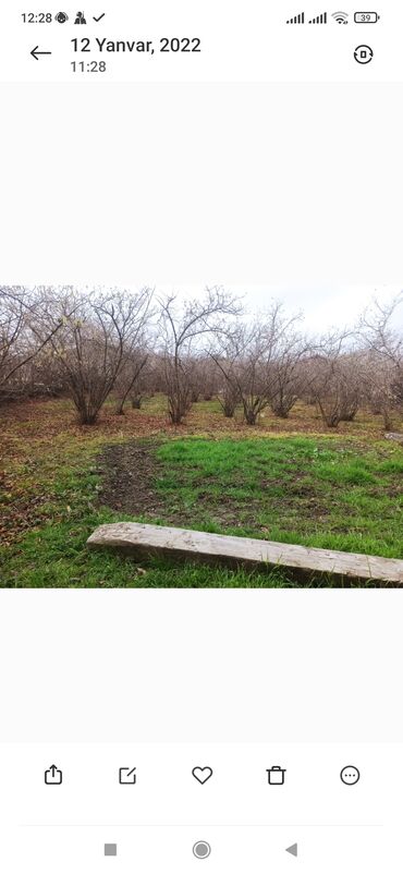 Torpaq sahələrinin satışı: 15 sot, Tikinti, Barter mümkündür, Kupça (Çıxarış)