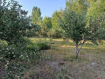 Продажа коттеджей и домов: Дом на Иссык-Куле!!! Продается просторный дом на участке 36 сотых at lalafo.kg — 35 Продажа коттеджей и домов: Дом на Иссык-Куле!!! Продается просторный дом на участке 36 сотых — 35