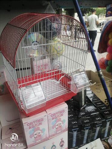 Tutuquşları: Papuqaylar 9azn Papuqay qəfəsləri 9azn Təzə qəfəslərdi 9-azn -da lalafo.az — 4 Tutuquşları: Papuqaylar 9azn Papuqay qəfəsləri 9azn Təzə qəfəslərdi 9-azn — 4