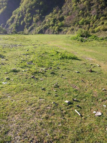 qaxda kiraye evler ilisu: 50 sot, Biznes üçün, Mülkiyyətçi