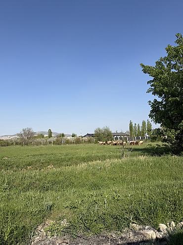 Продажа участков: 5 соток, Для строительства, Красная книга, Договор купли-продажи — 1