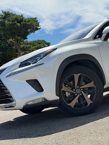 lexus: Lexus NX: 2021 г., 2.5 л, Автомат, Гибрид, Кроссовер — 1