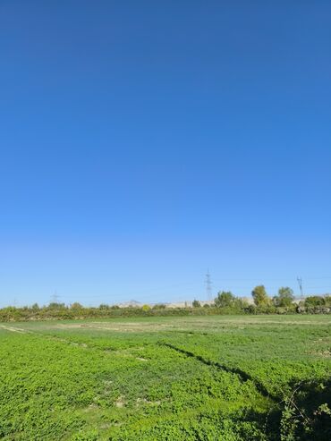 Torpaq sahələrinin satışı: 100 sot, Kənd təsərrüfatı, Kupça (Çıxarış) -da lalafo.az — 4 Torpaq sahələrinin satışı: 100 sot, Kənd təsərrüfatı, Kupça (Çıxarış) — 4