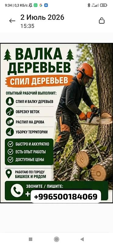 Услуги по валке и спилу деревьев. Что выполняется: - Спил и валка