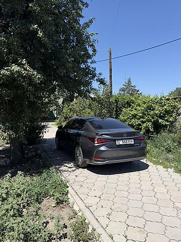 lexus es авто: Lexus ES: 2024 г., Автомат, Седан — 2