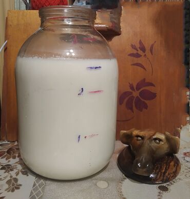эчки улак бишкек: Домашнее Козье молоко. Экологически чистый продукт. Находимся в