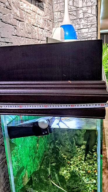 Akvariumlar: Hazır Akvarium Sistemi – Hər şeyi daxil! ​ ​Ölçülər: 120 x 40 x 60 sm — 2