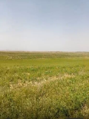 ош жер уй алам: 6 соток