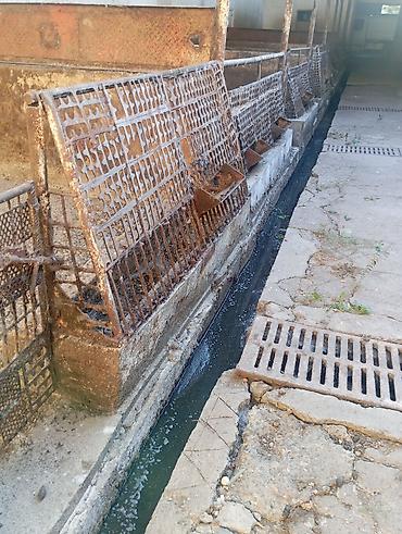 Продажа коттеджей и домов: Продаю два дома на одном участке Рядом с трассой Аэропорта Манас Село — 13