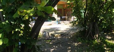 Bağ evlərinin kirayəsi: 200 kv. m, 3 otaqlı, Hovuzsuz, Artezian quyusu, Telefon, Qaz — 13