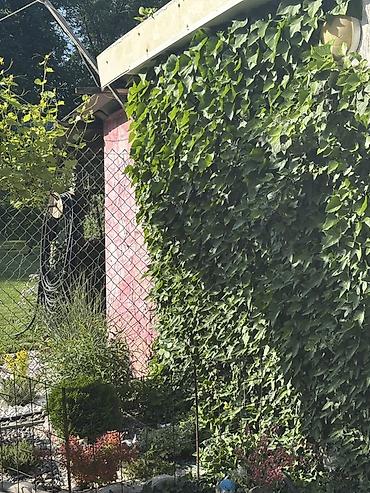 батанический сад: 🌿 ЛАНДШАФТНЫЙ ДИЗАЙН | САД, КОТОРЫЙ СОЗДАН ИМЕННО ДЛЯ ВАС Создаю — 4