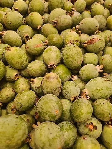 meyve: Mandarin (1.60 azn)ve Feyxo (1.10 azn) õz bagimin mehsuludu azotsuz — 2