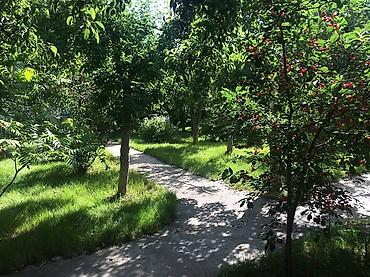 imarat resort: Дом (частный сектор), Чолпон-Ата, 3 места — 2