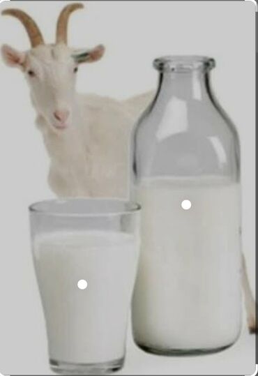 Молочные продукты и яйца: Salam . 100% Tebi keci sudu yeniden satiwda yalniz oz yeyvanlarimizi