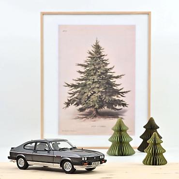 maska: Ford Capri Mk III 2.8 Injection RHD 1981 Graphite Grey Metallic – — 1