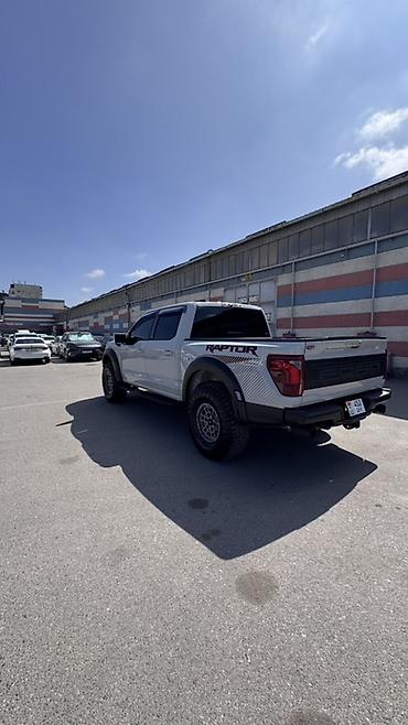 пол выкуп: Ford F-150: 2024 г., 3.5 л, Автомат, Бензин, Пикап — 5