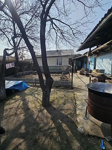 Продажа коттеджей и домов: Продаётся участок с домом в Нижней Ала-Арче по ул Чагай, ближе к ул — 4