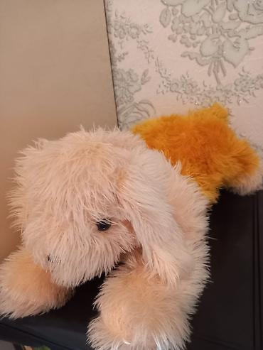 havanese dream: Yumşaq oyuncaq – balaca it balası - Material: tüklü, yumşaq plyuş — 1