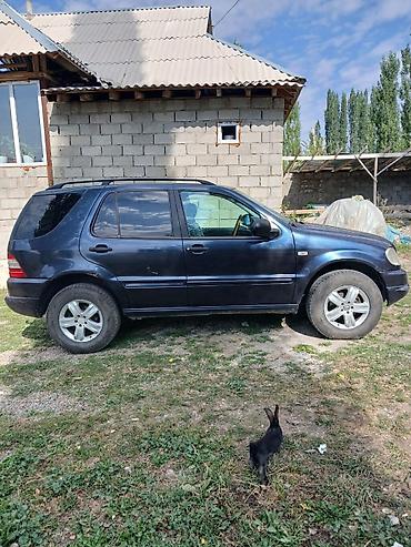 daewoo nexsia: Mercedes-Benz ML-Class: 1998 г., 3.2 л, Автомат, Бензин, Кроссовер — 1